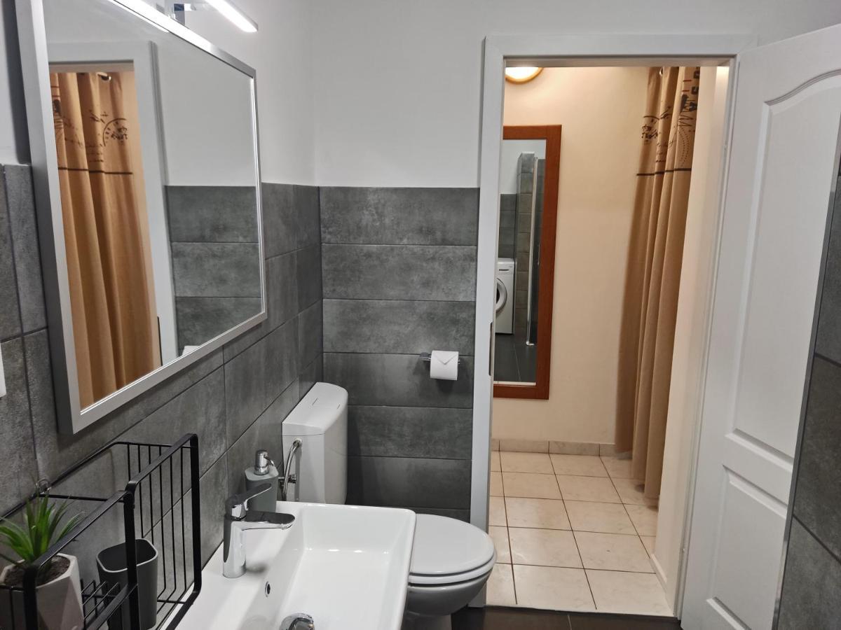 Apartment Rosa 1 ロヴィニ エクステリア 写真