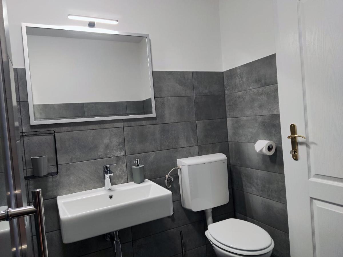 Apartment Rosa 1 ロヴィニ エクステリア 写真